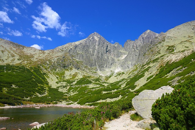 Okolie apartmánu v lete